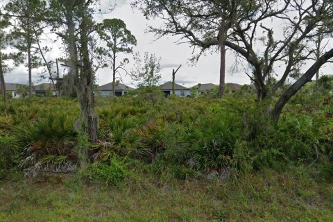 Land in Port Charlotte, Florida № 2159357 - photo 3