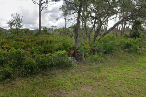 Land in Port Charlotte, Florida № 2159357 - photo 4
