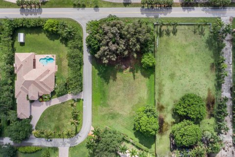 Immobilier commercial à vendre à Plantation, Floride № 2176312 - photo 3