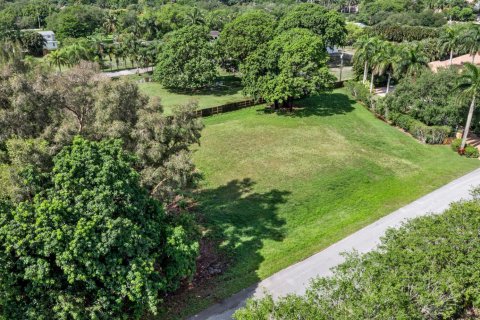 Immobilier commercial à vendre à Plantation, Floride № 2176312 - photo 7