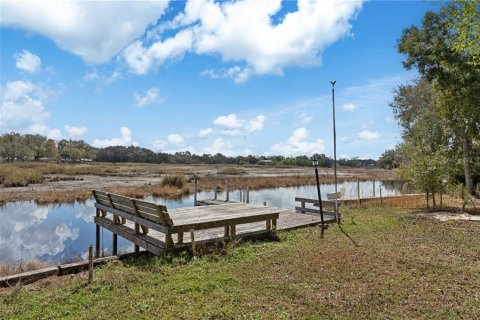 Casa en venta en Hernando, Florida, 3 dormitorios № 2404387 - foto 7