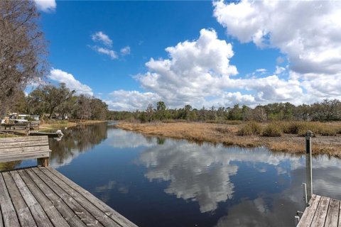Casa en venta en Hernando, Florida, 3 dormitorios № 2404387 - foto 5