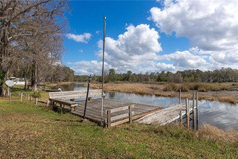 Casa en venta en Hernando, Florida, 3 dormitorios № 2404387 - foto 3