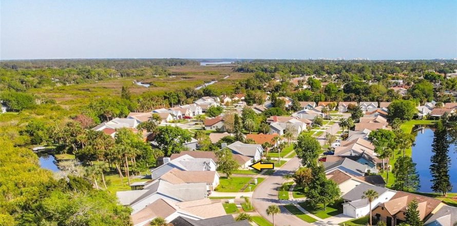 House in New Smyrna Beach, Florida 2 bedrooms, 142.33 sq.m. № 1088409
