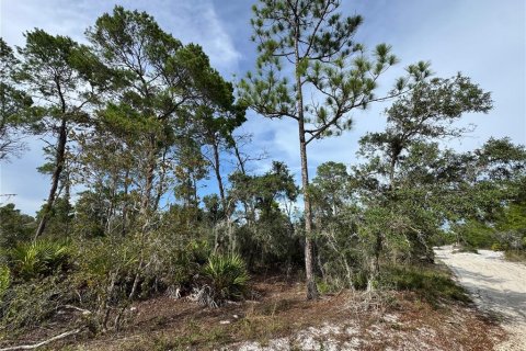 Land in Sebring, Florida № 2197476 - photo 4