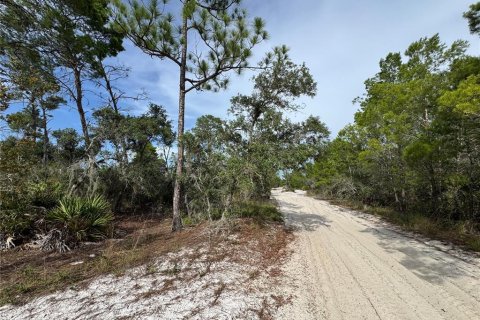 Land in Sebring, Florida № 2197476 - photo 5