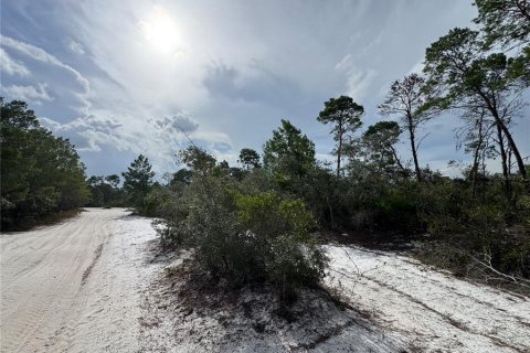 Land in Sebring, Florida № 2197476 - photo 7