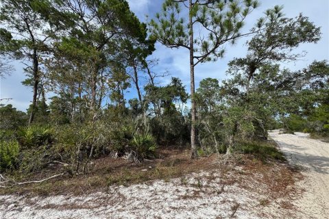 Land in Sebring, Florida № 2197476 - photo 2