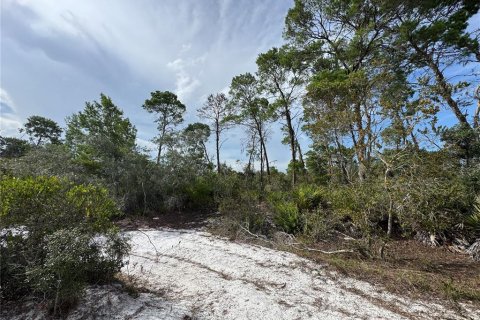 Land in Sebring, Florida № 2197476 - photo 6