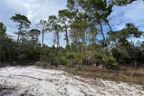 Land in Sebring, Florida № 2197476 - photo 3
