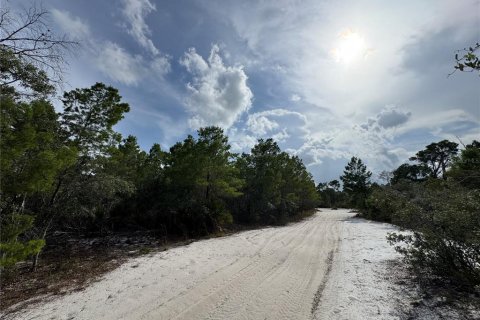 Land in Sebring, Florida № 2197476 - photo 8