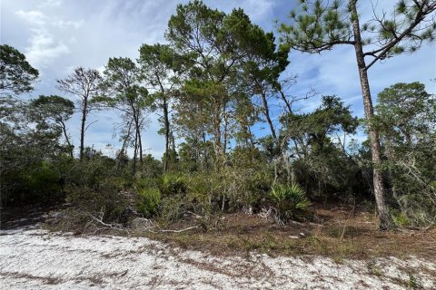 Land in Sebring, Florida № 2197476