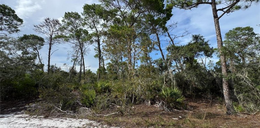 Land in Sebring, Florida № 2197476