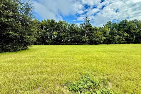Terreno en venta en High Springs, Florida № 1911556 - foto 1