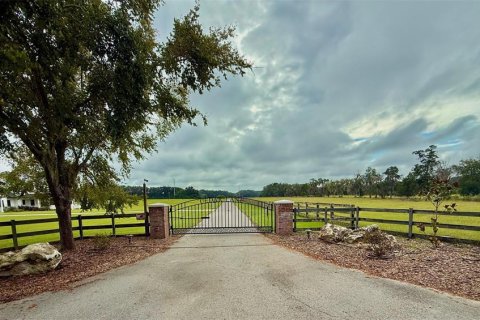 Terreno en venta en High Springs, Florida № 1911556 - foto 3
