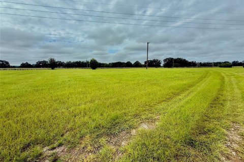 Terreno en venta en High Springs, Florida № 1911556 - foto 7