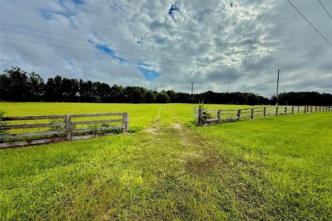 Terreno en venta en High Springs, Florida № 1911556 - foto 5