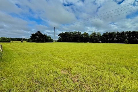 Terreno en venta en High Springs, Florida № 1911556 - foto 6
