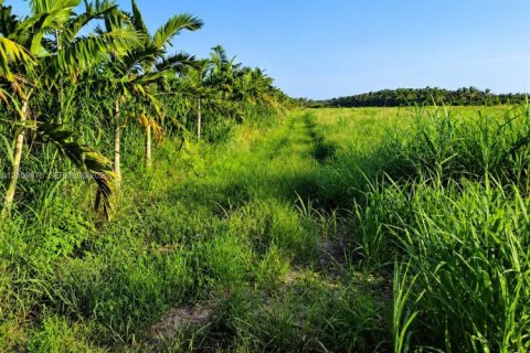 Propiedad comercial en venta en Homestead, Florida № 2432421 - foto 6