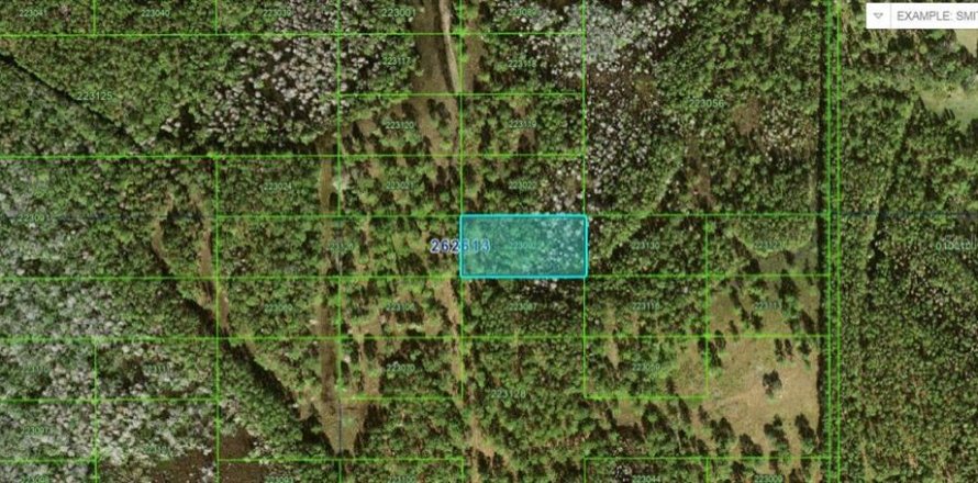 Terreno en Polk City, Florida № 2160720