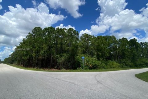 Terreno en venta en Lehigh Acres, Florida № 1860490 - foto 1
