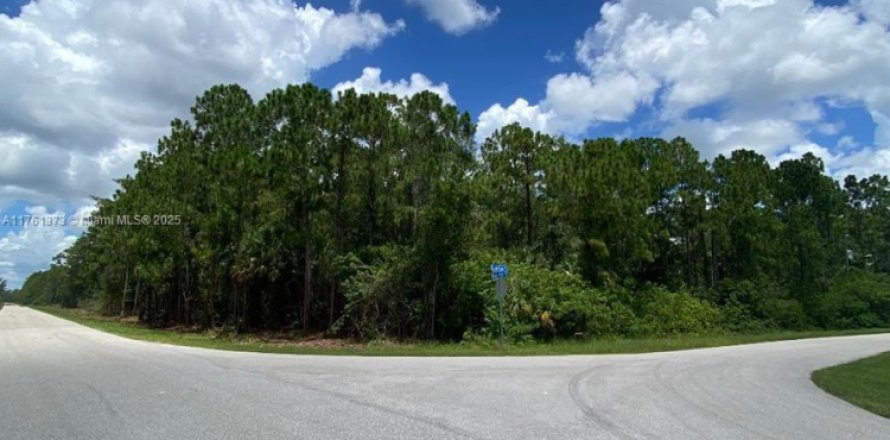 Terreno en Lehigh Acres, Florida № 1860490