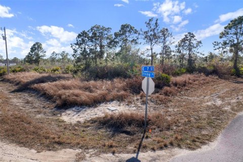 Land in Lehigh Acres, Florida № 2161594 - photo 9