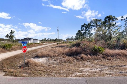 Land in Lehigh Acres, Florida № 2161594 - photo 8