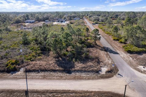 Land in Lehigh Acres, Florida № 2161594 - photo 7