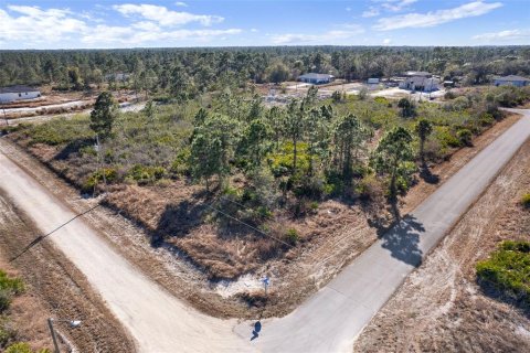 Land in Lehigh Acres, Florida № 2161594 - photo 2