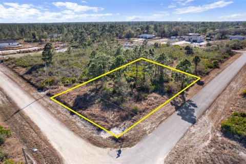 Land in Lehigh Acres, Florida № 2161594