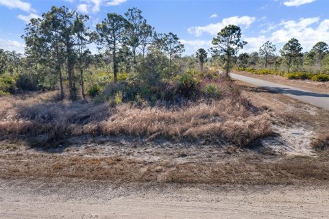 Land in Lehigh Acres, Florida № 2161594 - photo 10
