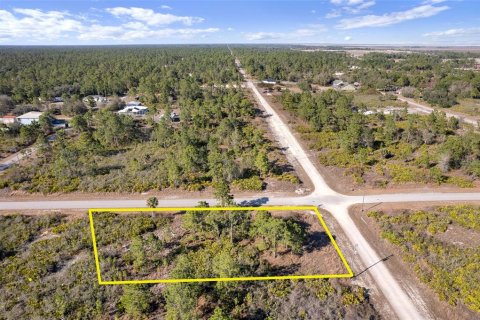 Land in Lehigh Acres, Florida № 2161594 - photo 4