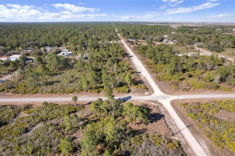 Land in Lehigh Acres, Florida № 2161594 - photo 5
