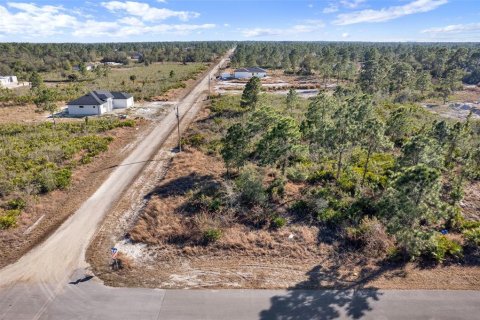 Land in Lehigh Acres, Florida № 2161594 - photo 3
