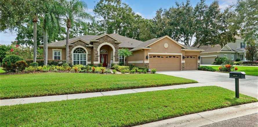 Villa ou maison à Lutz, Floride 4 chambres, 273.04 m2 № 2149272