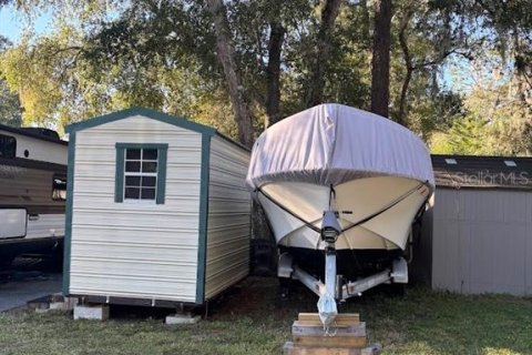 Land in Salt Springs, Florida № 2391453 - photo 5