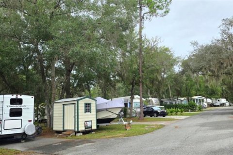 Land in Salt Springs, Florida № 2391453 - photo 6