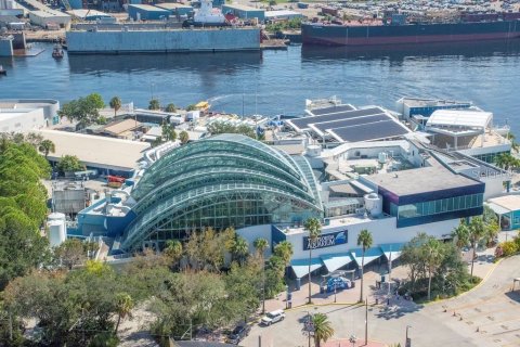 Copropriété à louer à Tampa, Floride: 2 chambres, 124.3 m2 № 1845261 - photo 17