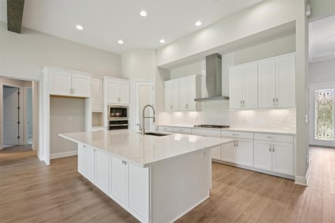 House in Fish Hawk, Florida 5 bedrooms, 362.23 sq.m. № 1784629 - photo 2