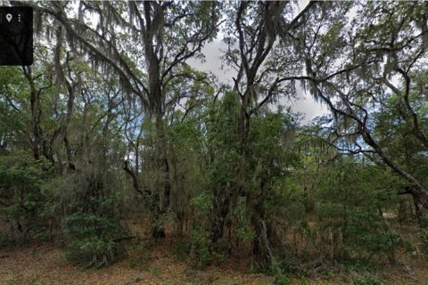 Terreno en Dunnellon, Florida № 2229029