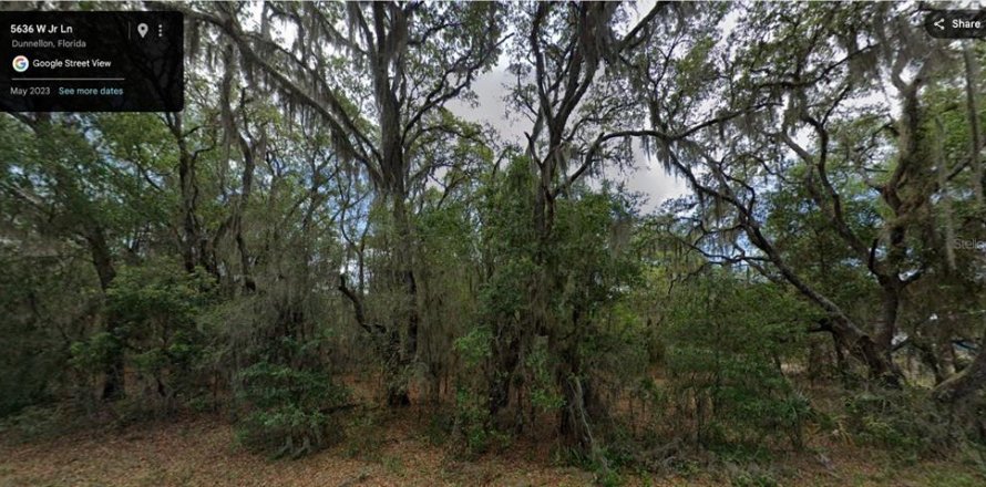 Terrain à Dunnellon, Floride № 2229029