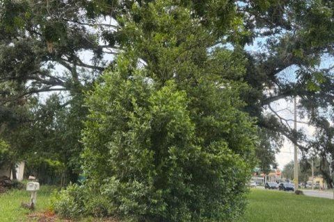 Commercial property in Saint Petersburg, Florida 38.65 sq.m. № 1854519 - photo 5