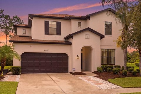 House in Wesley Chapel, Florida 5 bedrooms, 331.75 sq.m. № 2305077