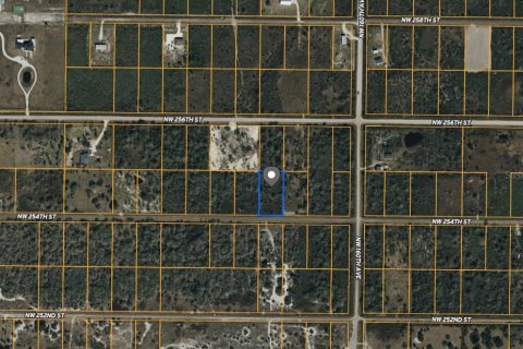 Terreno en venta en Okeechobee, Florida № 2231262 - foto 2
