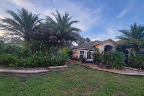 Casa en venta en Apopka, Florida, 4 dormitorios, 354.14 m2 № 1876080 - foto 11