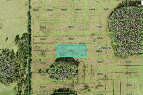 Terreno en Polk City, Florida № 2226939