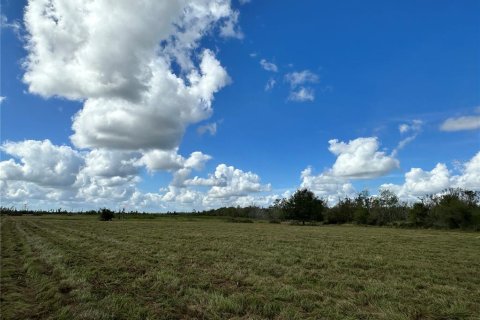 Land in Myakka City, Florida № 1444291 - photo 4
