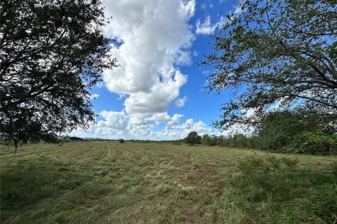 Land in Myakka City, Florida № 1444291 - photo 1