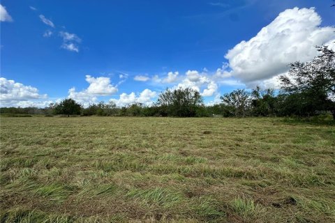 Land in Myakka City, Florida № 1444291 - photo 2